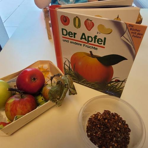 Apfel