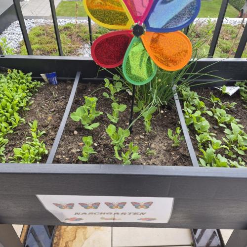 Garten