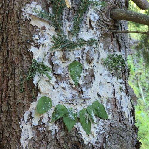 Waldtag